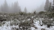 Wagner butte 5-27-2026-4